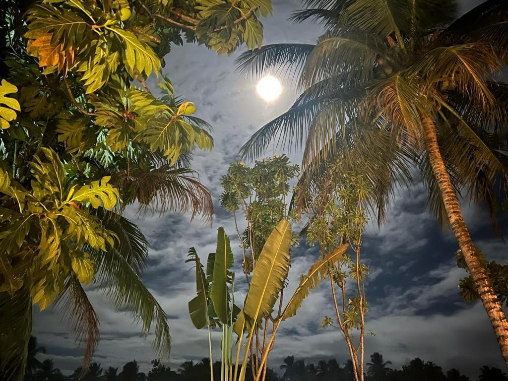 Pousada Vida Sol São Miguel dos Milagres Dış mekan fotoğraf